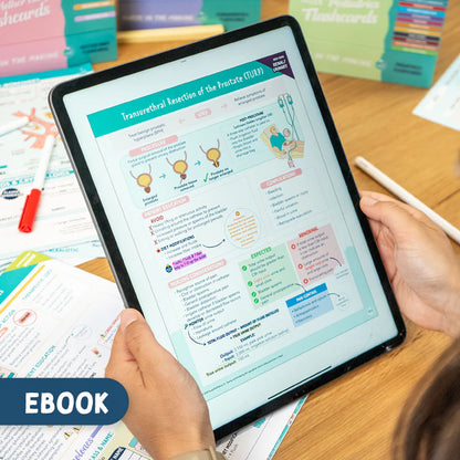 The Complete Nursing  School Bundle