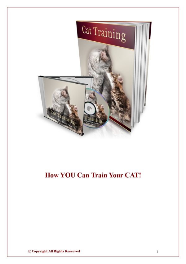 Tips CAT Training