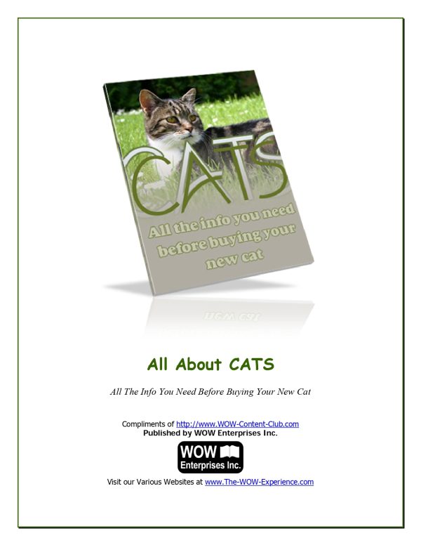 Cats