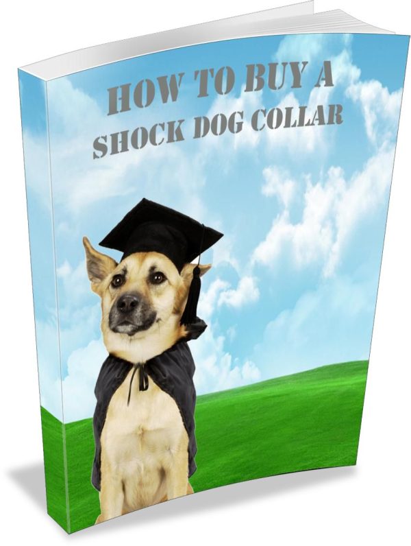 Buying a shock Dog