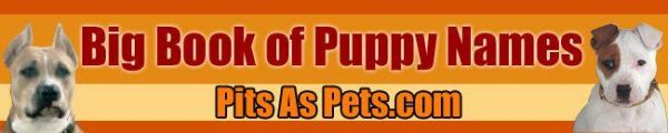 Big BOOK of Puppy Name