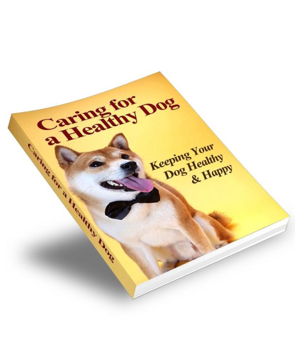 Caring for a healthy dog