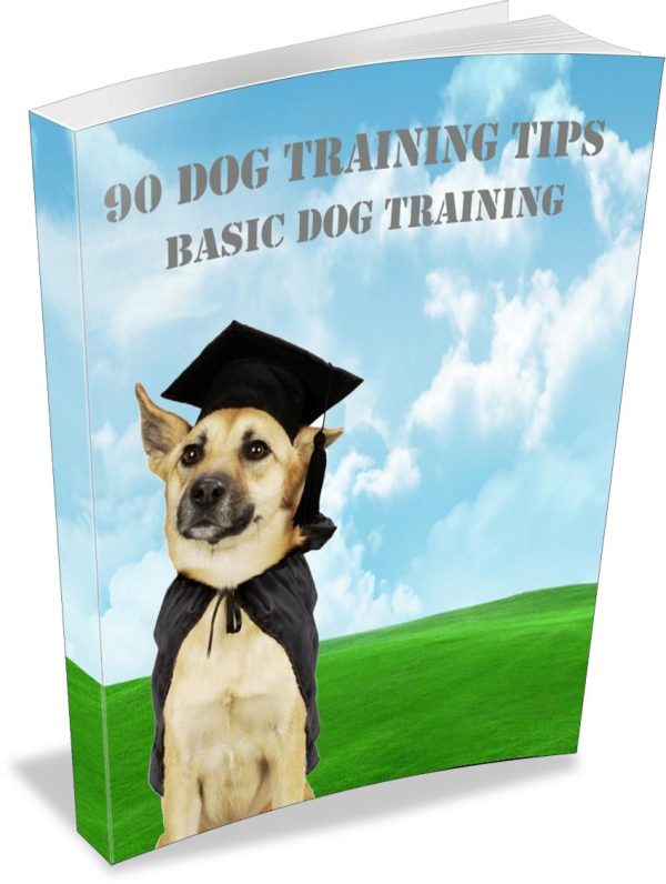 90 Dog Training